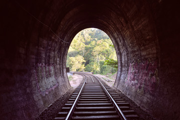 Fototapeta na wymiar Tunnel near the Nine Arches Bridge in Sri Lanka