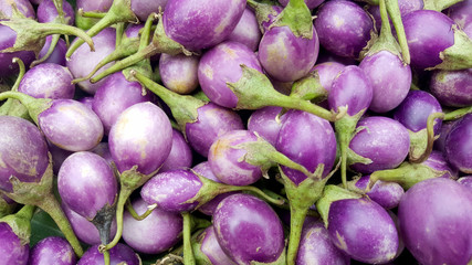Eggplant purple cooking