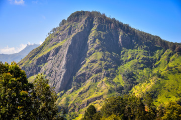 Fototapeta premium mountain in Sri Lanka, view of Ella Rock