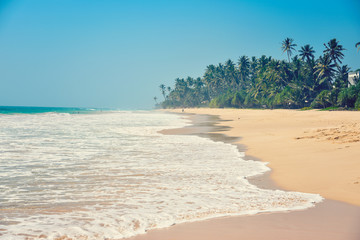 beautiful seascape, tropical beach, Sri Lanka