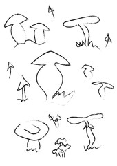 mushrooms