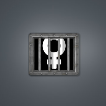 Female Symbol In Prison - 3d Rendering