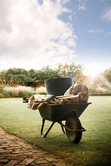 Wheelbarrow in garden holding rake and broom with lawn and flowers beds in the background