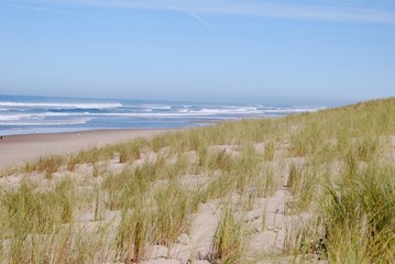 Fototapeta na wymiar plage dune