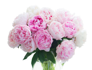 Fresh peony flowers colored in pale shades of pink isolated on white background