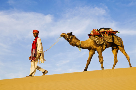 Indigenous Indian Man Walking Through The Desert With His Camel.