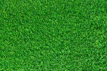 Papier Peint photo autocollant Herbe Fond de texture d& 39 herbe verte. vue de dessus.