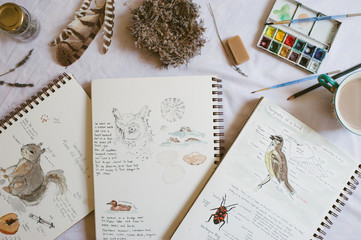 A Collection of nature journals and supplies