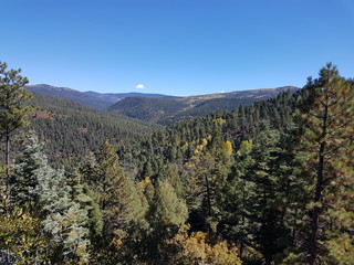 Carson National Forest