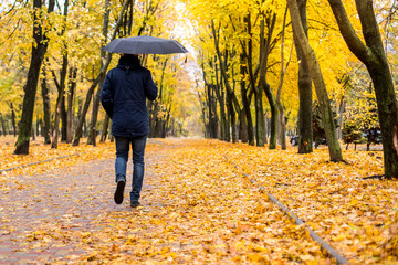 a man with an umbrella walking along the autumn park