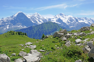 Fototapeta na wymiar alpen: eiger, berner oberland, schweiz 