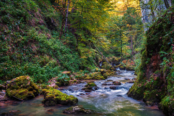 Obraz premium River and canyon in Romania