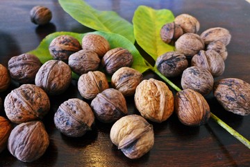 Walnüsse mit Blatt