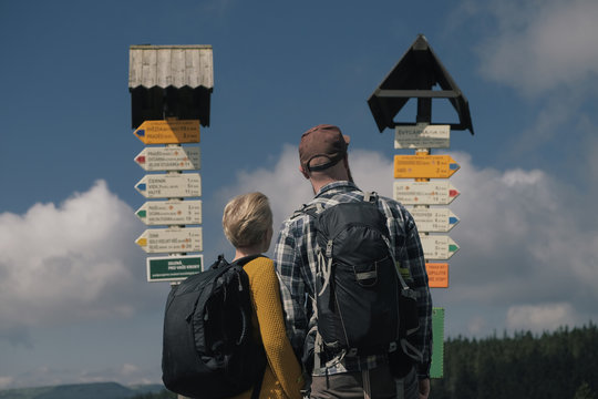 looking at signpost