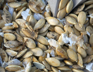 Pumpkin seeds  