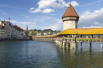 Fototapeta premium lucern