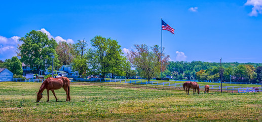 Rural landscape of a Maryland horse stable wih an American flag flying