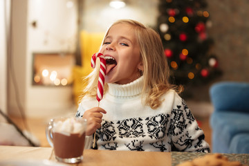 Close-up photo of funny little girl licks candy cane, looking at camera