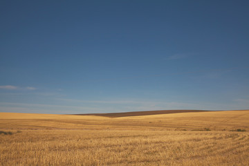 Hay Farm Hills; Blue Skies