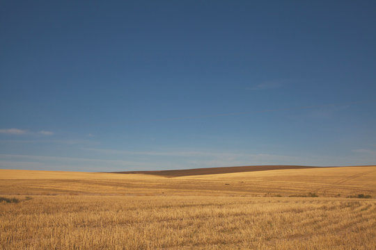Hay Farm Hills; Blue Skies