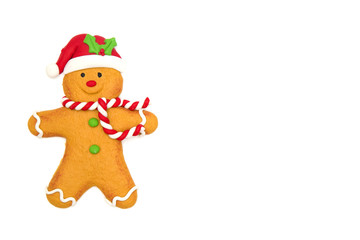 Christmas Gingerbread Cookie
