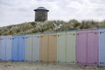 Seagull taking off on Beach Boxes at Domburg Beach / Netherlands