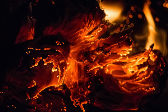 Close Up Paper Burning In Flame