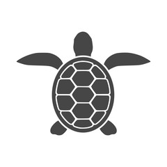 Obraz premium Turtle Icon Flat Graphic Design - Illustration 