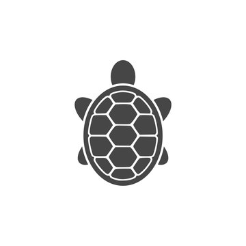 Turtle Icon Flat Graphic Design - Illustration 