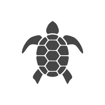 Turtle Icon Flat Graphic Design - Illustration 