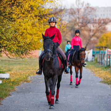 Group of teenage girls riding horses in autumn park. Equestrian sport background with copy space