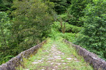 Historical High Stone Bridge on Firtina River