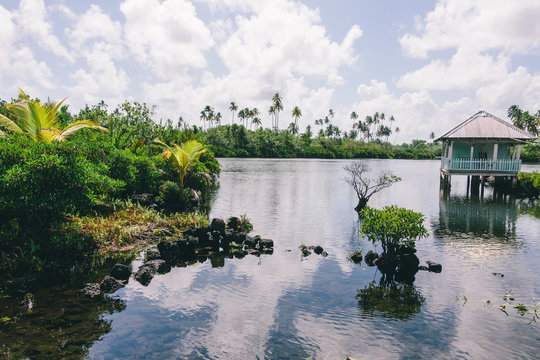 Hut on a lake on exotic tropical island