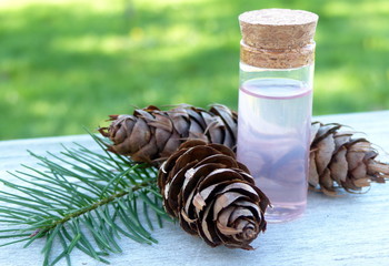 huile végétale de sapin