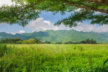 Beautiful landscape view of green field or meadow with mountain and blue sky in the background at countryside.