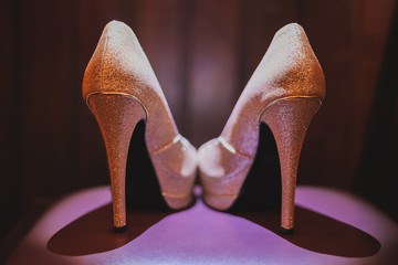 &copy; Marcelo Pereira dos Santos