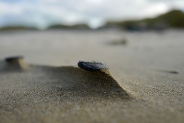 Galet sable