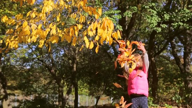 A little girl in a pink jacket throws her leaves up