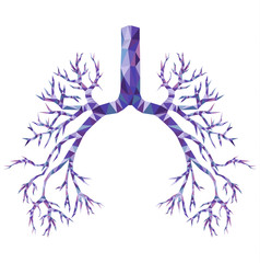 Human low poly bronchus with trachea, carina in purple and blue. Human organ. - obrazy, fototapety, plakaty
