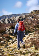 Fototapeta na wymiar A female hiker and their dog ascending a rocky mountain path in the English Lake District.