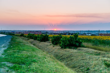 Sunset in countryside with sunflower field
