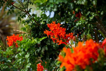 Mallorca, Urlaub, Balearen, Spanien, Sonne, Meer, Mittelmeer, Strand, Erholung