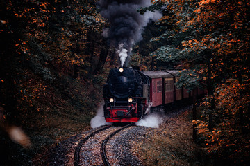 Harzer Schmalspurbahn fährt im Herbst durch den gefärbten Wald