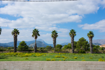 Mallorca, Urlaub, Balearen, Spanien, Sonne, Meer, Mittelmeer, Strand, Erholung