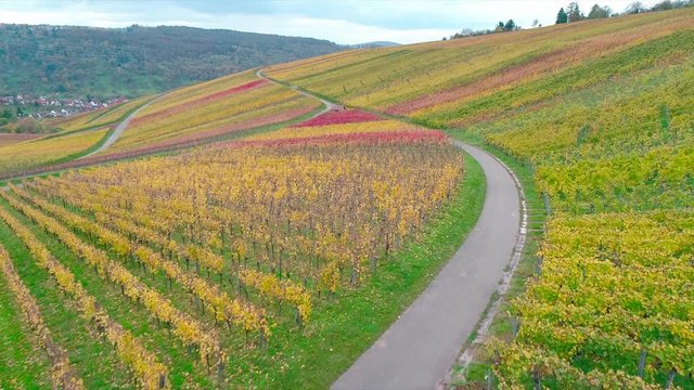 Flug &uuml;ber Weinberge im Remstal im Herbst, Schnait, Baden W&uuml;rttemberg, Deutschland