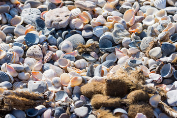 Mallorca, Urlaub, Balearen, Spanien, Sonne, Meer, Mittelmeer, Strand, Erholung