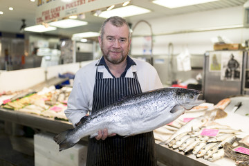 Male fishmonger wearing an apron holding large and whole salmon fish in front of display counter...