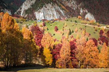 Autumn landscape. Colorful fall scene in a mountain village.