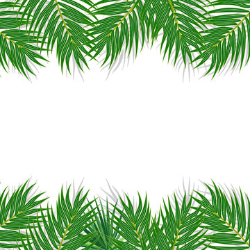 Tropical leaves vector on white background