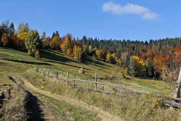 Landscape of mountain autumn village. Hill with wild road with a fence. Colorful forest. Countryside in the fall time. Background of the Carpathian mountains in the Ukraine. Orange forest.